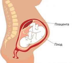 УЗИ акушерское (II–III триместры беременности)
